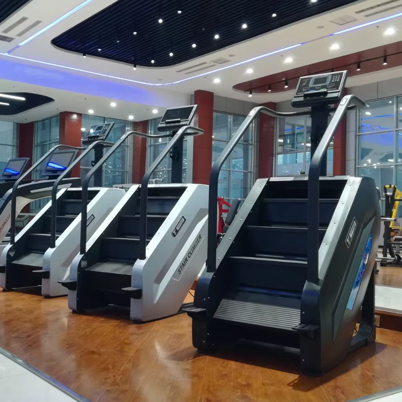 Sport-Laufband, chinesischer T – Sports Equipment In Chinese Bewertung und Preis